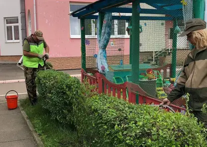 Волонтёры РУСАЛа продолжают озеленять территорию Советского района Красноярска