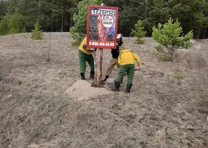 Сотрудники Лесопожарного центра устанавливают противопожарные баннеры