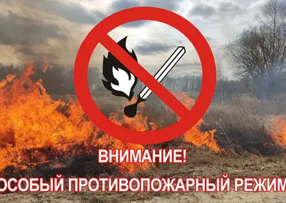 В отдельных районах Красноярского края ввели особый противопожарный режим