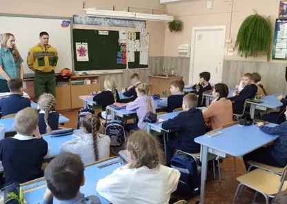 Красноярским школьникам рассказали, как уберечь лес от пожара