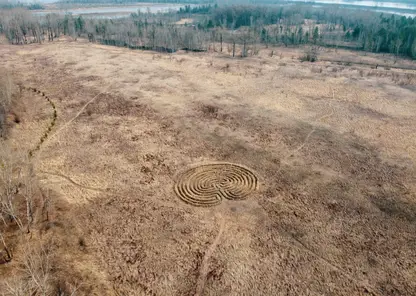В Красноярске на острове Татышев обнаружили странные круги из примятой травы