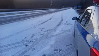 Красноярских водителей просят быть внимательными на загородных трассах