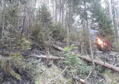 В национальном парке «Красноярские Столбы» пожар произошёл из-за грозы