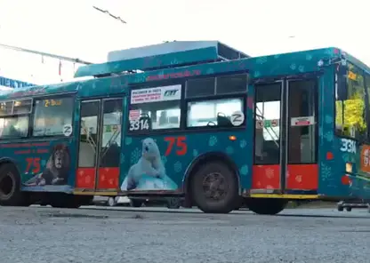 Троллейбусы с львами и медведями разъезжают по улицам Новосибирска