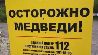 На «Красноярских Столбах» замечен медведь у Такмаковских скал На «Красноярских Столбах» замечен медведь у Такмаковских скал
