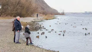 Красноярцев ждут пасмурные, но теплые сентябрьские выходные Красноярцев ждут пасмурные, но теплые сентябрьские выходные