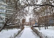 Мороз и солнце: погода в Красноярске на понедельник