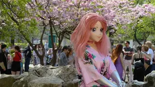 Красноярский психолог требует запретить аниме-фигурки даже в «пристойных» позах Красноярский психолог требует запретить аниме-фигурки даже в «пристойных» позах