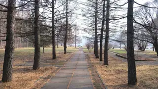 Депутат Заксобрания Красноярского края собирает подписи в защиту дендрария в Академгородке Депутат Заксобрания Красноярского края собирает подписи в защиту дендрария в Академгородке