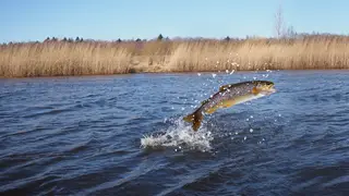 «Роснефть» поддерживает развитие этнографии и улучшение экологии в Эвенкии «Роснефть» поддерживает развитие этнографии и улучшение экологии в Эвенкии