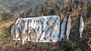 Два рыбака наловили на 21 тысячу рублей ущерба в Канском районе вопреки запрету