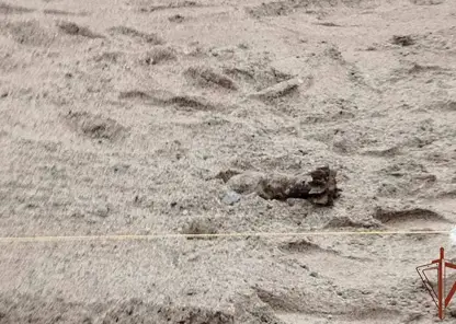 Боеприпас времен Великой Отечественной войны обнаружили и обезвредили в Новосибирске