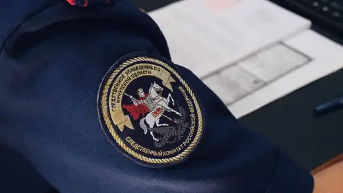 17-летнюю девушку задержали в Иркутской области за избиение 11-летнего ребенка