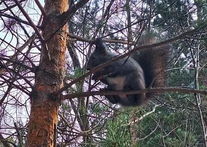 Тёплый финал октября: красноярцев ждёт приятный сюрприз в последний день месяца