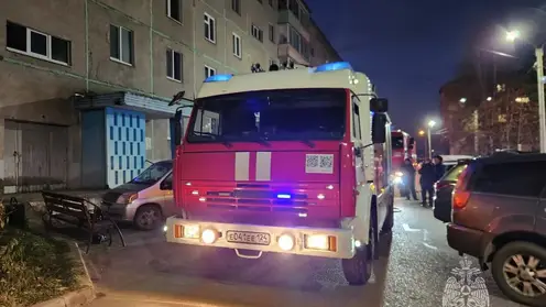 Красноярские спасатели за сутки потушили 14 пожаров, 7 человек спасены