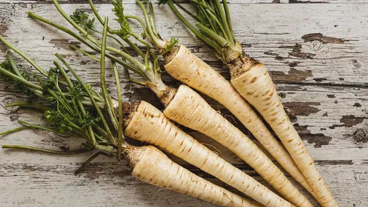 Как выбрать и хранить хрен: простые правила для максимальной пользы и остроты