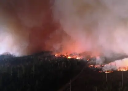 55 лесных пожаров действуют в Хабаровском крае