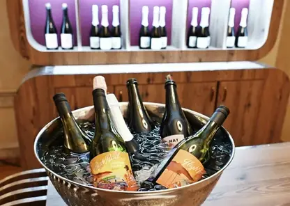 Вино в России планируют продавать на маркетплейсах с середины 2026 года