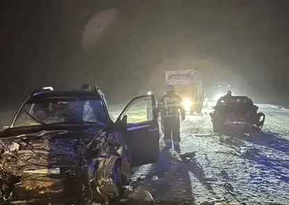 В аварии в Новосибирской области погибли мужчина и подросток