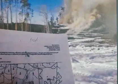 Судебные приставы заставили предпринимателя убрать горы мусора в лесах Красноярского края