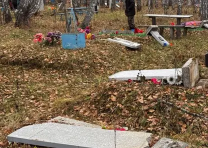 В Новосибирской области трое детей разгромили надгробия на кладбище
