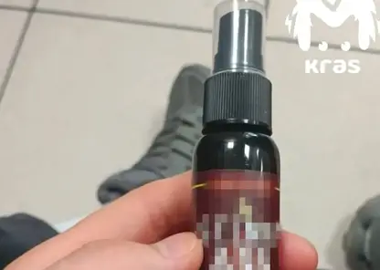 Пятиклассник разбрызгал спрей с неприятным запахом в школьном туалете Красноярска. Детям стало плохо