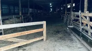 Россельхознадзор выявил ряд ветеринарных нарушений у хакасских фермеров