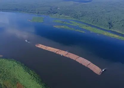 По Енисею отправился гигантский плот с лесом для «Норникеля»