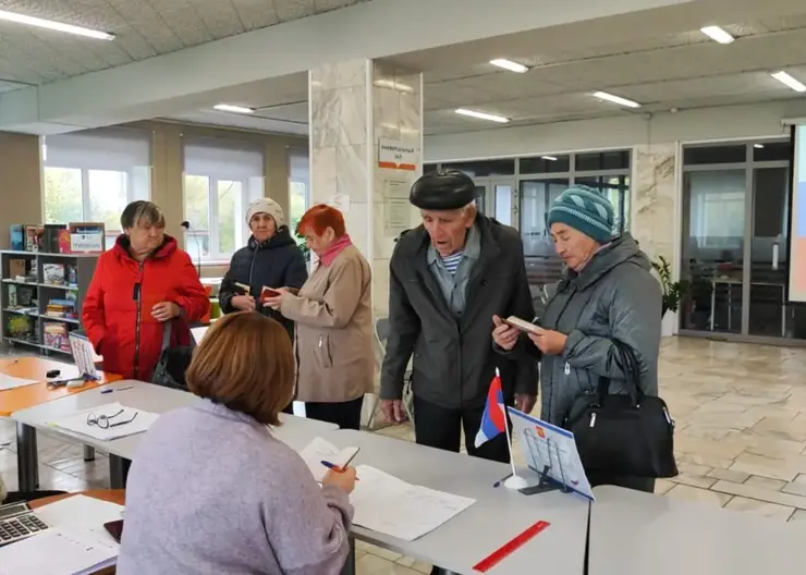 Важен каждый голос: как принять участие в выборах, не выходя из дома