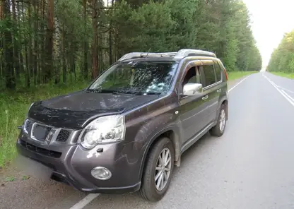 В Железногорске пенсионер расстрелял машину, в которой находились его соседи по даче