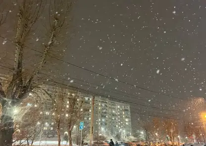 Пасмурная и влажная погода ожидается в субботу, 27 декабря