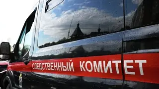 17-летнюю жительницу Барнаула подозревают в убийстве своего новорожденного ребёнка