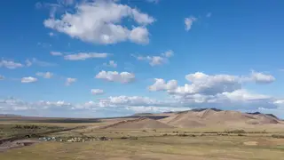 Каменные плиты с изображениями сцен охоты нашли в древних погребениях Хакасии