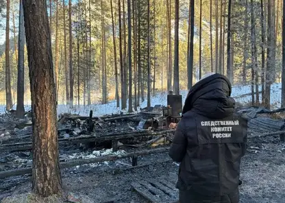 Три человека погибли при пожаре на базе отдыха в Хакасии