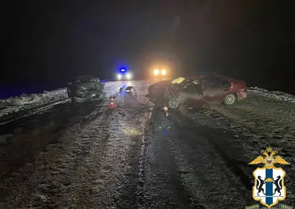 Водитель и пассажир погибли в ДТП в Новосибирской области