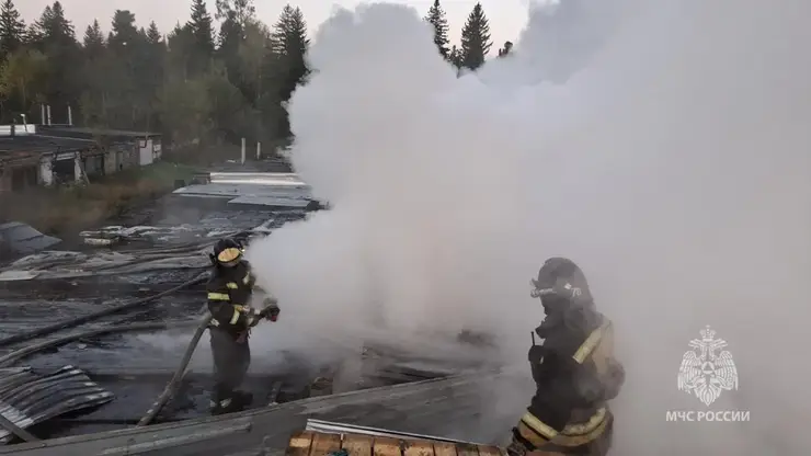 14 пожаров потушили в Красноярском крае за минувшие сутки