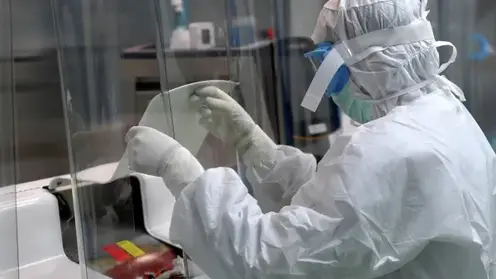 Красноярские ученые разработали новую систему доставки лекарств по организму человека на основе микроразмерных антисептиков