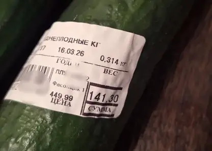 Огурцы не всем по карману. Цены на овощи в Приангарье взлетели на 20%