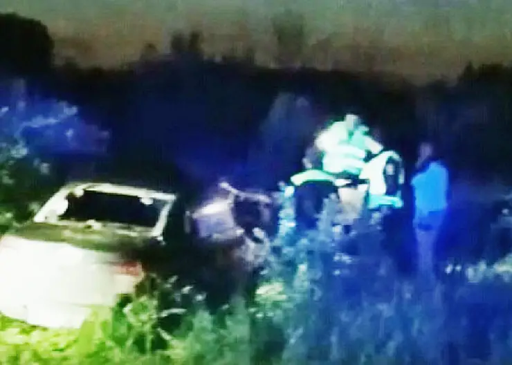 Два человека погибли в ДТП под Ачинском из-за выбежавшего на дорогу лося