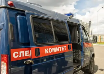 Тела двух пропавших 12-летних девочек найдены на берегу Енисея в разных деревнях Республики Тыва