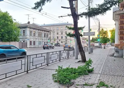 Пекло накроет Красноярск на длинных выходных: +32 °C и немного освежающего дождя