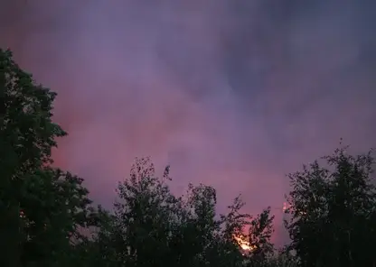 Шесть пожаров потушили в Красноярском крае за сутки