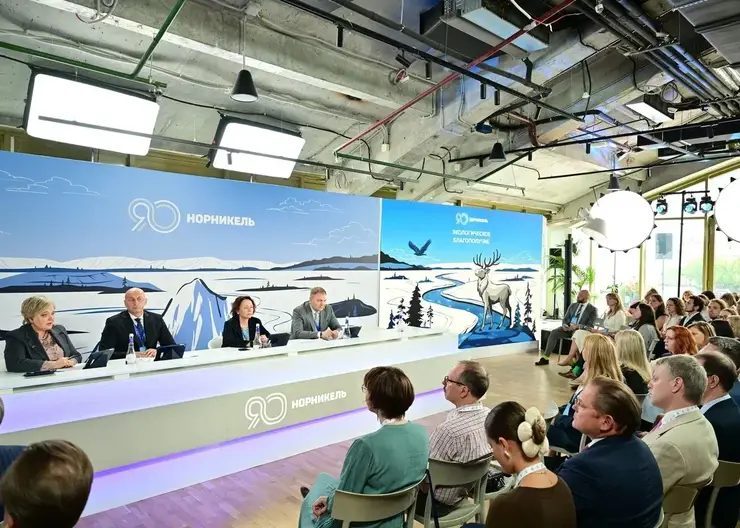 «Норникель» направил 374 миллиардов рублей на устойчивое развитие в 2024 году