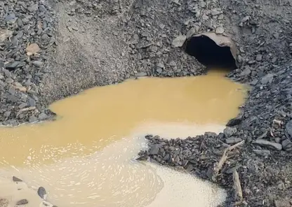 В Красноярском крае золотодобытчик заплатил за загрязнение реки 1,7 млн рублей