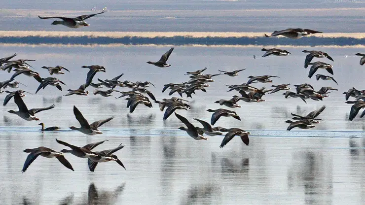 «Роснефть» заботится о природном богатстве России