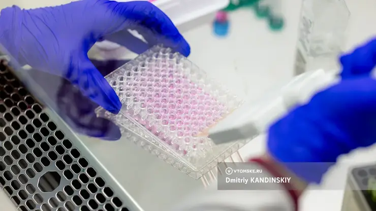 В Томске открылась лаборатория, ускоряющая создание новых лекарств