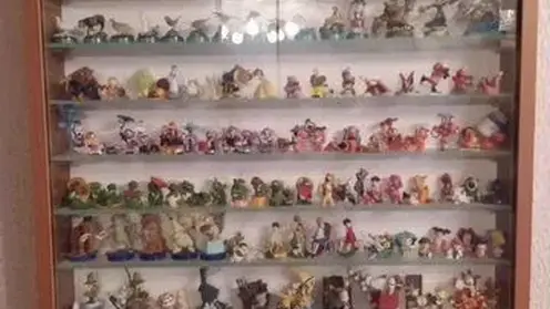 Коллекцию киндер-игрушек с историей почти в полвека продают в Красноярске за 2 млн рублей