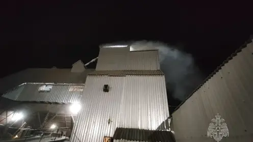 12 пожаров потушили в Красноярском крае за сутки