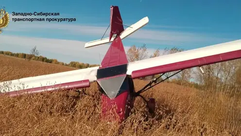 Легкомоторный самолет зацепился за провода и упал в Алтайском крае