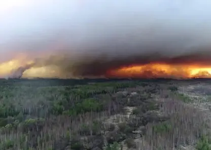 Межрегиональный режим ЧС из-за лесных пожаров ввели в Хабаровском крае
